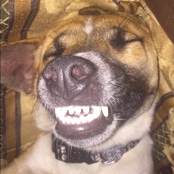 Meet your Posher, Vikki - Picture 2 of 7